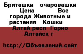 Бриташки - очаровашки.  › Цена ­ 3 000 - Все города Животные и растения » Кошки   . Алтай респ.,Горно-Алтайск г.